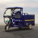 bhave-electric-e-cart-champion